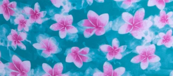 plumeria (1)