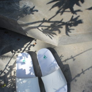 כפכף לבן ראשי